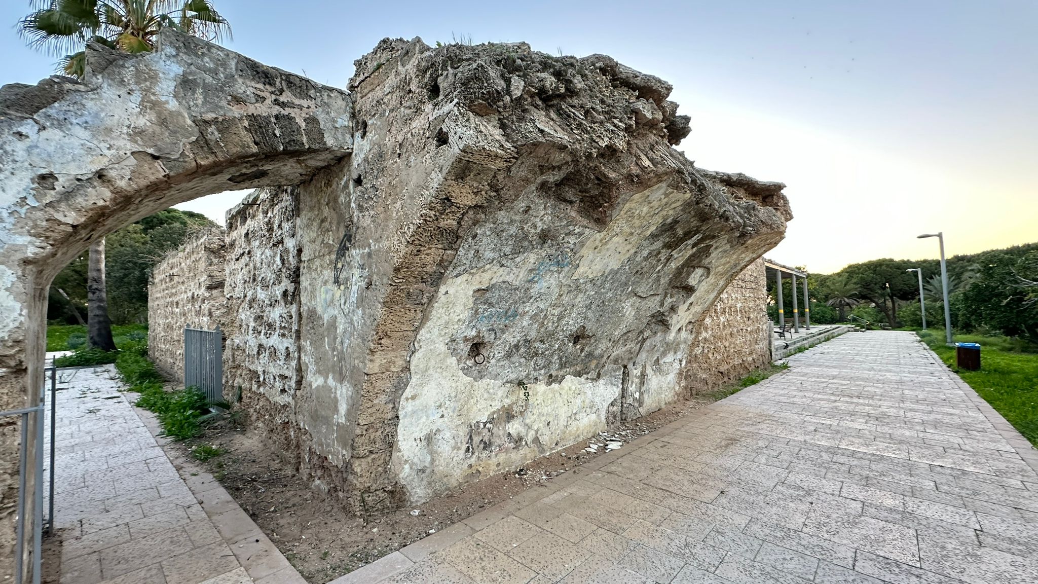 WhatsApp Image 2024-01-06 at 10.25.32.jpg